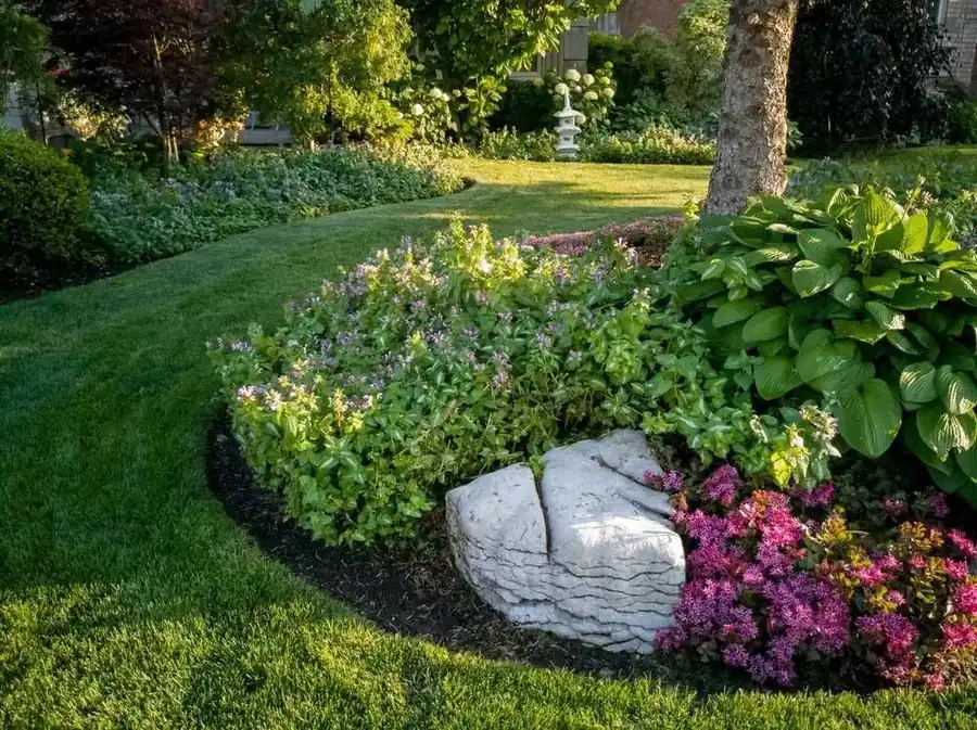 Mulch vs. Rock: Which Is Better for Your Beds?