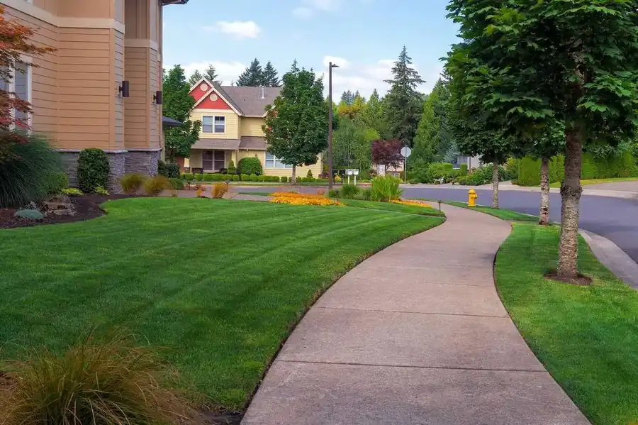 When to Aerate Your Lawn in Wisconsin